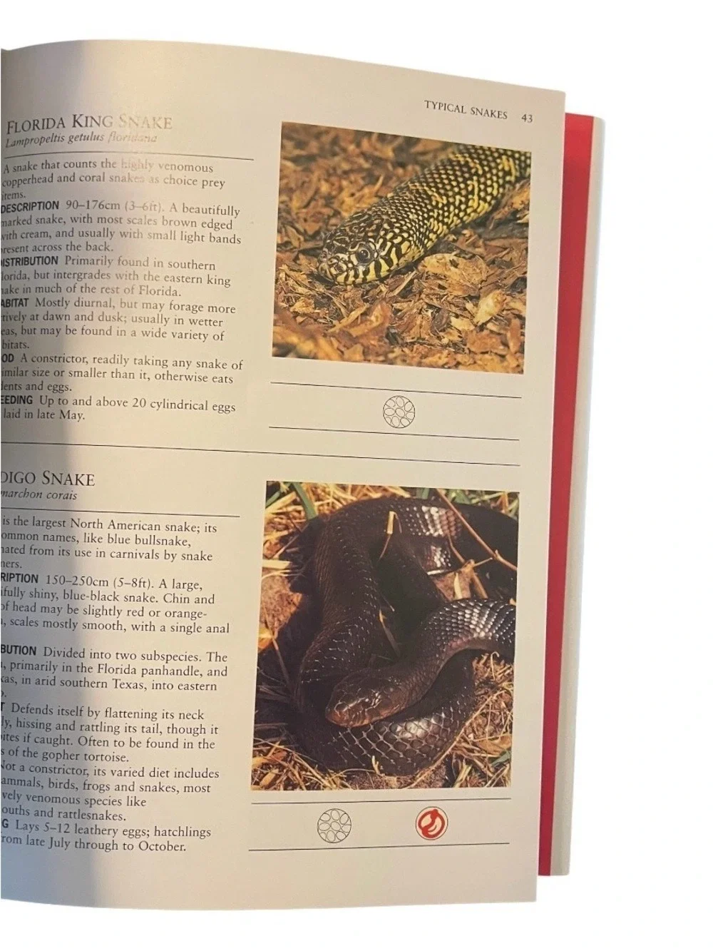 Identifying Snakes Hardcover Guide Nigel Marven Rob Harvey 1996 Snake Reference